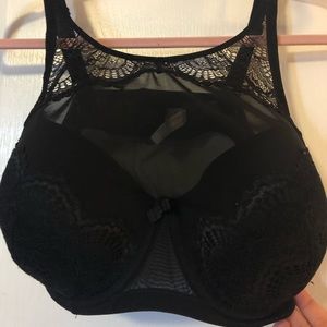 High Lace Black Padded Bra